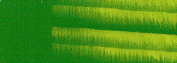 Oleo Goya nº67 Verde Cinabrio 60ml