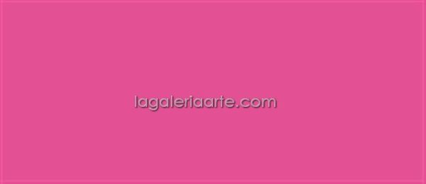 Textile Color Opaco 27 Rosa Bengala 60ml