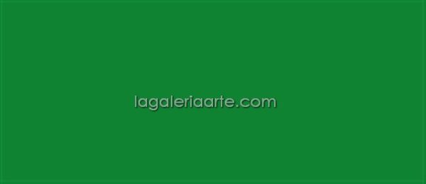 Textile Color Opaco 53 Verde 60ml