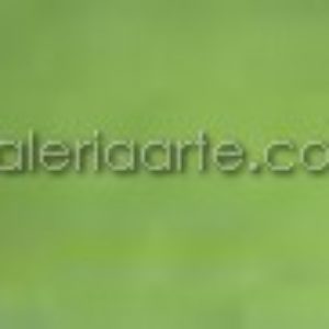 620- Acuarela REMBRANDT Serie2 Verde Oliva 5ml