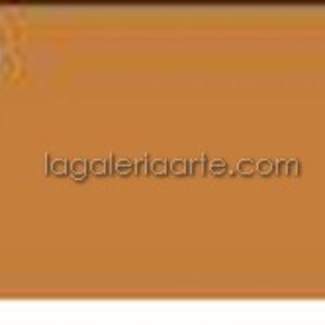 Acrilico Fevicryl 05 Raw Sienna 500ml