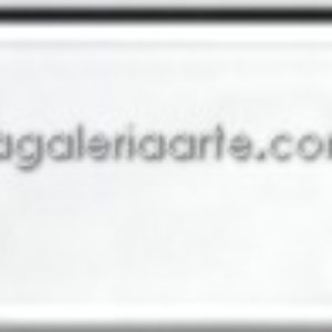 117- Oleo REMBRANDT Blanco Cinc (aceite Linaza) 40ml