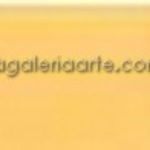 223- Oleo REMBRANDT Amarillo Napoles Oscuro 40ml