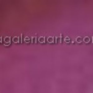 537- Oleo REMBRANDT Violeta Perm Medio 40ml
