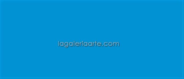 Textile Color Fluorescente 511 Azul 200ml