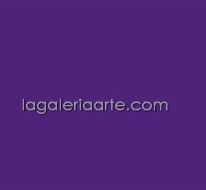 Textile Color Opaco 36 Violeta de Parma 200ml
