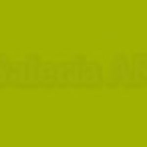 621 acrilico Amsterdam verde oliva claro 120ml