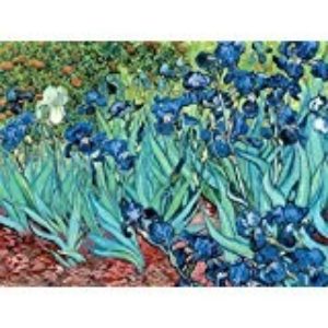 PUZZLE LIRIOS VAN GOGH 1000 PIEZAS - La Galería del Arte